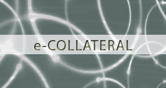 e-Collateral
