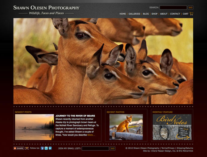 Website Design Sample - Shawn Olesen Photography Home Page