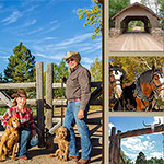 Website Design Sample - Covered Bridge Ranch About Page
