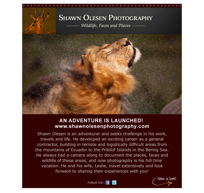 Email Marketing Sample - Shawn Olesen Photography Website Launch Announcement