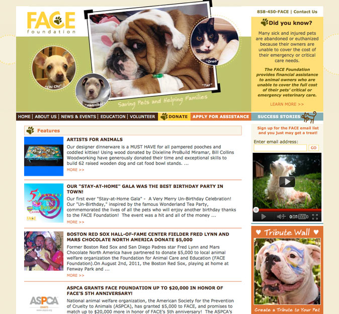 Website Design Sample - FACE Foundation Home Page
