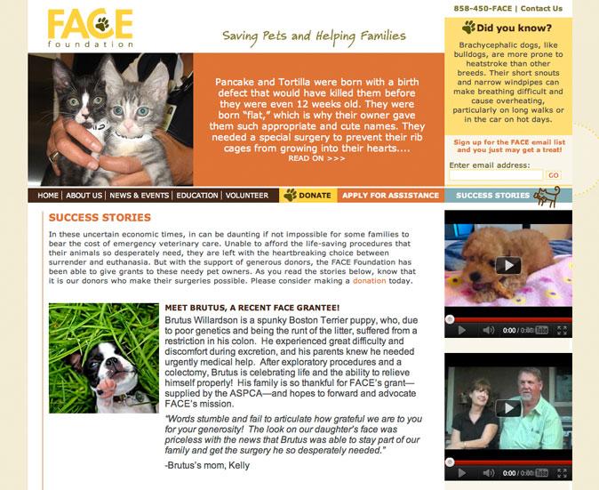 Website Design Sample - FACE Foundation Success Stories Page
