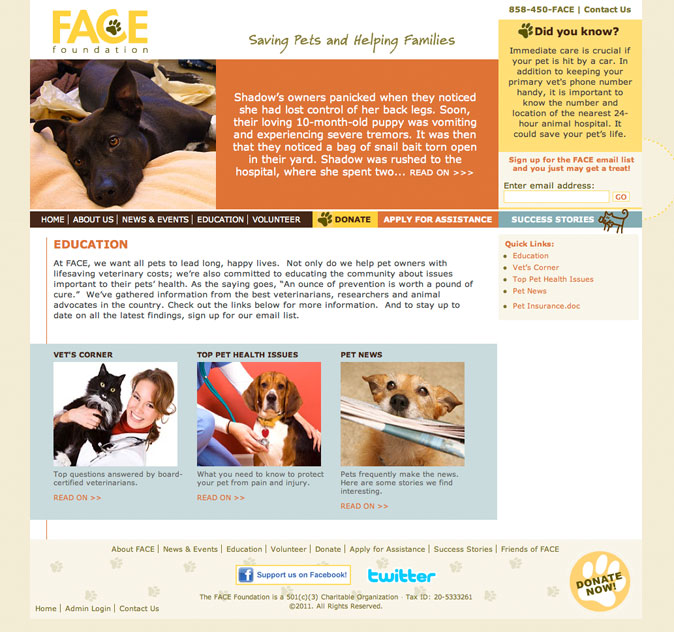 Website Design Sample - FACE Foundation Education Page