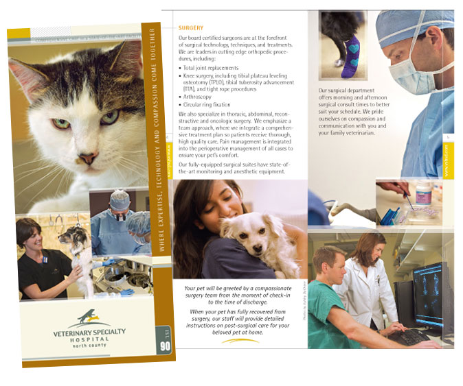 Brochure Design Sample - Veterinary Specialty Hospital