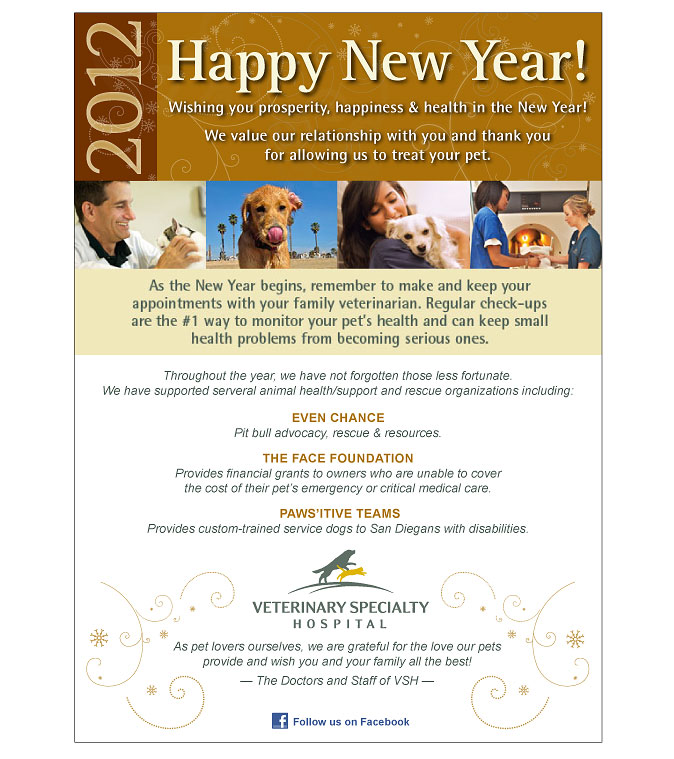 Email Marketing Sample - Veterinary Specialty Hospital New Year's e-Card