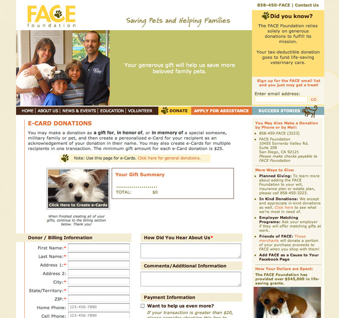 Website Design Sample - FACE Foundation Donate Page
