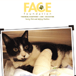 Print Design Sample - FACE Foundation Poster