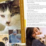 Brochure Design Sample - Veterinary Specialty Hospital